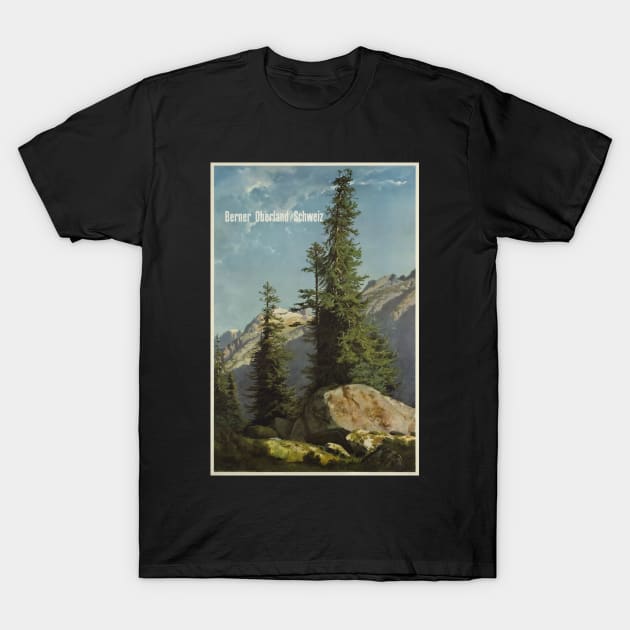 Berner Oberland,Switzerland,Travel Poster T-Shirt by BokeeLee